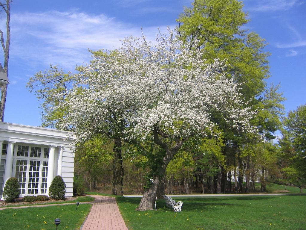 Four Chimneys Inn Bennington Εξωτερικό φωτογραφία
